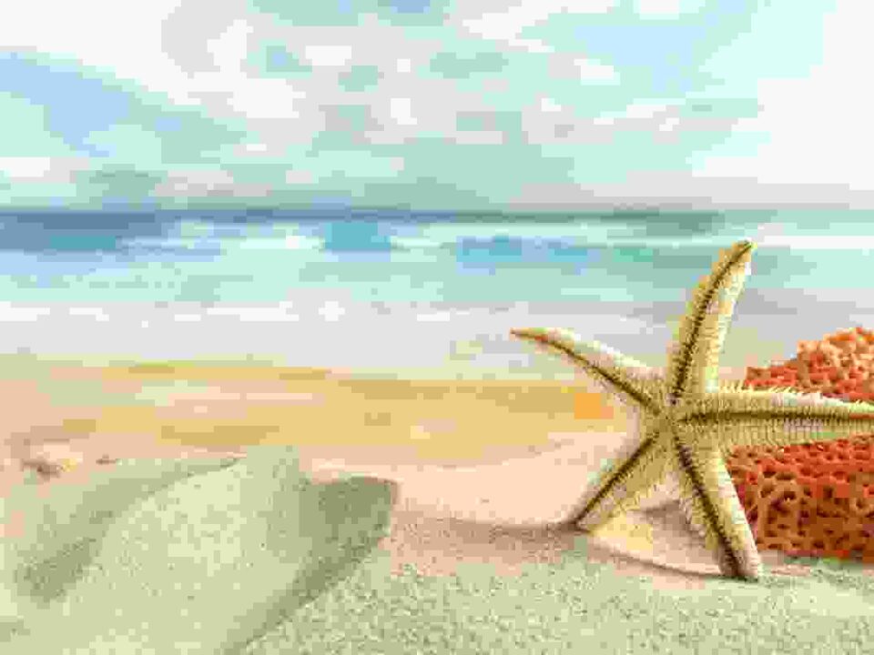 Vivamus ullamcorper enim Vivamus ullamcorper enim